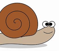 Image result for Kawaii Snail with Transparent Background