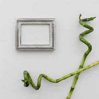 Image result for DIY Bamboo Photo Frame