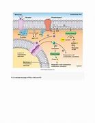 Image result for TSH Molecule