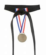 Image result for Taekwondo Gold Medal