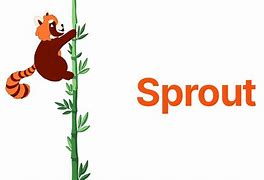 Image result for Sprout Screen Jar