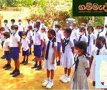 Image result for Primary School Students