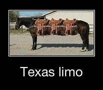 Image result for Texas Art Funny