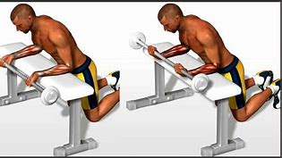 Image result for Forearm Curls