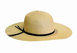 Image result for Big Sun Hat