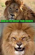 Image result for Cute Lion Memes