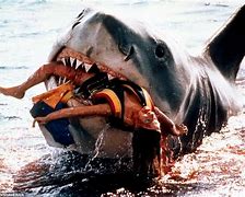 Image result for Real Shark in Jaws Filming