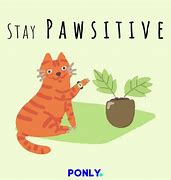 Image result for Cat-titude Puns