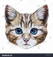 Image result for Cat Meh Face