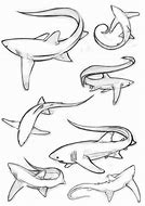 Image result for Spiky Shark Tail Art