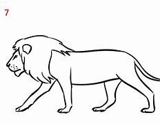 Image result for lion kitten drawing