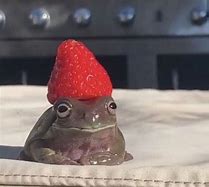 Image result for Frog PFP