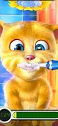 Image result for Talking Tom Ginger Fur