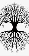 Image result for Tree Roots Clip Art Black and White