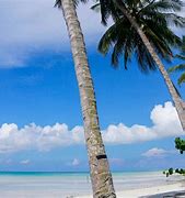 Image result for Pantai Begudul