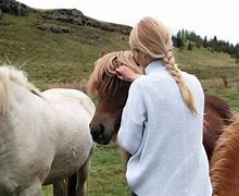 Image result for Splash Welsh Pony