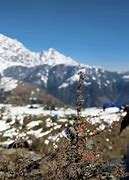 Image result for Triund Dharamshala