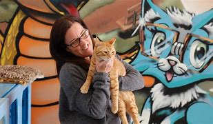 Image result for Cat Puppets Orange Tabby Cat