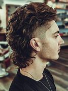 Image result for Mullet Memed