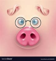 Image result for Pics of Pigs Faces