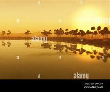 Image result for Desert Oasis Egypt