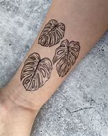 Image result for Planta Monstera Tatuaje