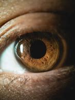 Image result for Macro Eye Photography African American