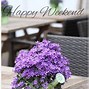 Image result for Happy Weekend Graphics