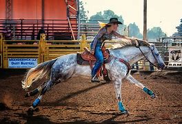 Image result for Paint Horse Barrel Racing