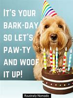 Image result for Happy Birthday Dog Puns