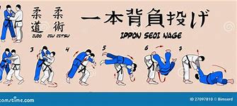 Image result for Judo Arm Slam