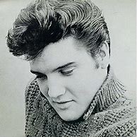 Image result for Elvis 76