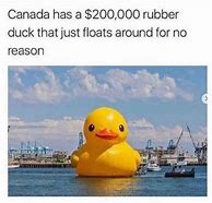 Image result for Canadian Aye or Eh Meme