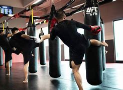 Image result for Kickboxing Pole