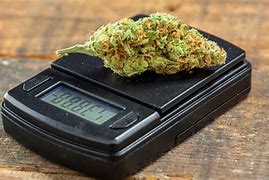 Image result for 12 Grams Weed