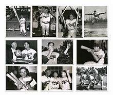 Image result for Gil Hodges Jersey