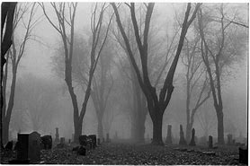 Image result for Foggy Graveyard