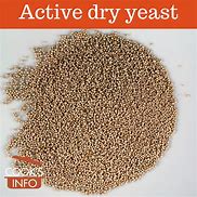 Image result for Dry Yeast PKT