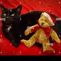 Image result for Teddy Bear Black Background