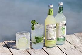 Image result for Fever Tree Mixers Logo