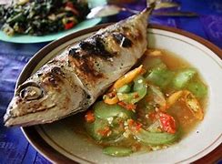 Image result for Ikan Mencari Makan