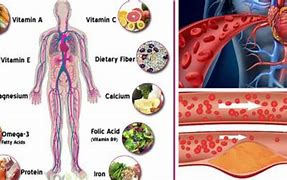 Image result for Mineral Supplements for Humans