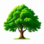 Image result for Green Tree C