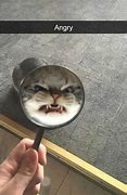 Image result for angry Meme