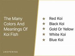 Image result for white koi fish meaning