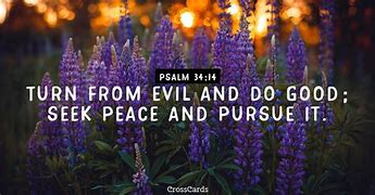 Image result for Psalm 34V 14