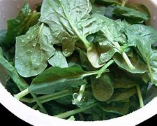 Image result for Inset Eating Spinach