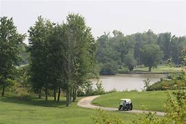 Image result for Man Golfing Sun Valley