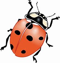 Image result for Cute Lightning Bug Clip Art