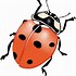 Image result for Cute Lightning Bug Clip Art